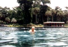 silver springs